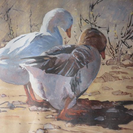 Lucy Mary Wiles